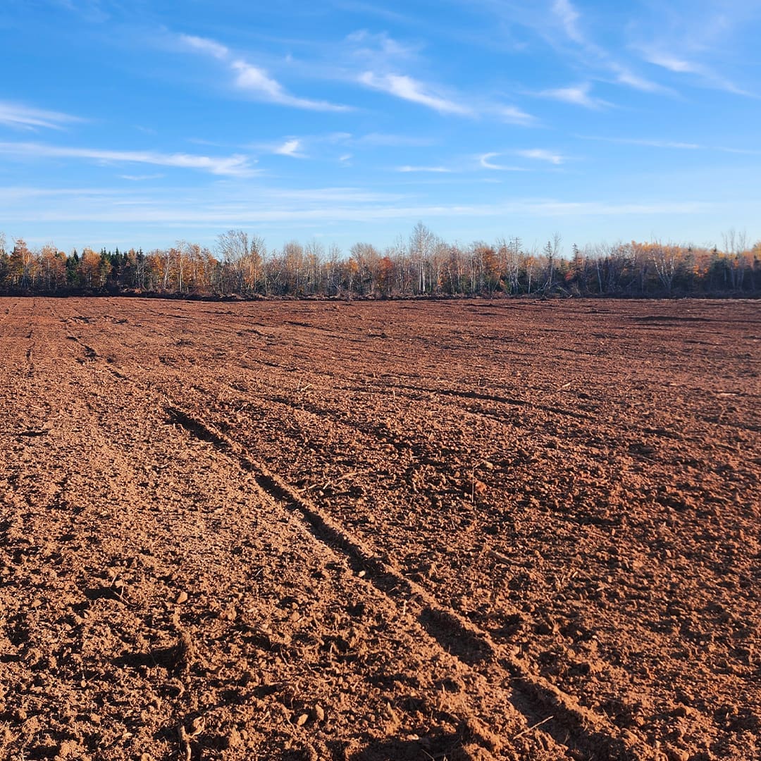 Farm Clearing
