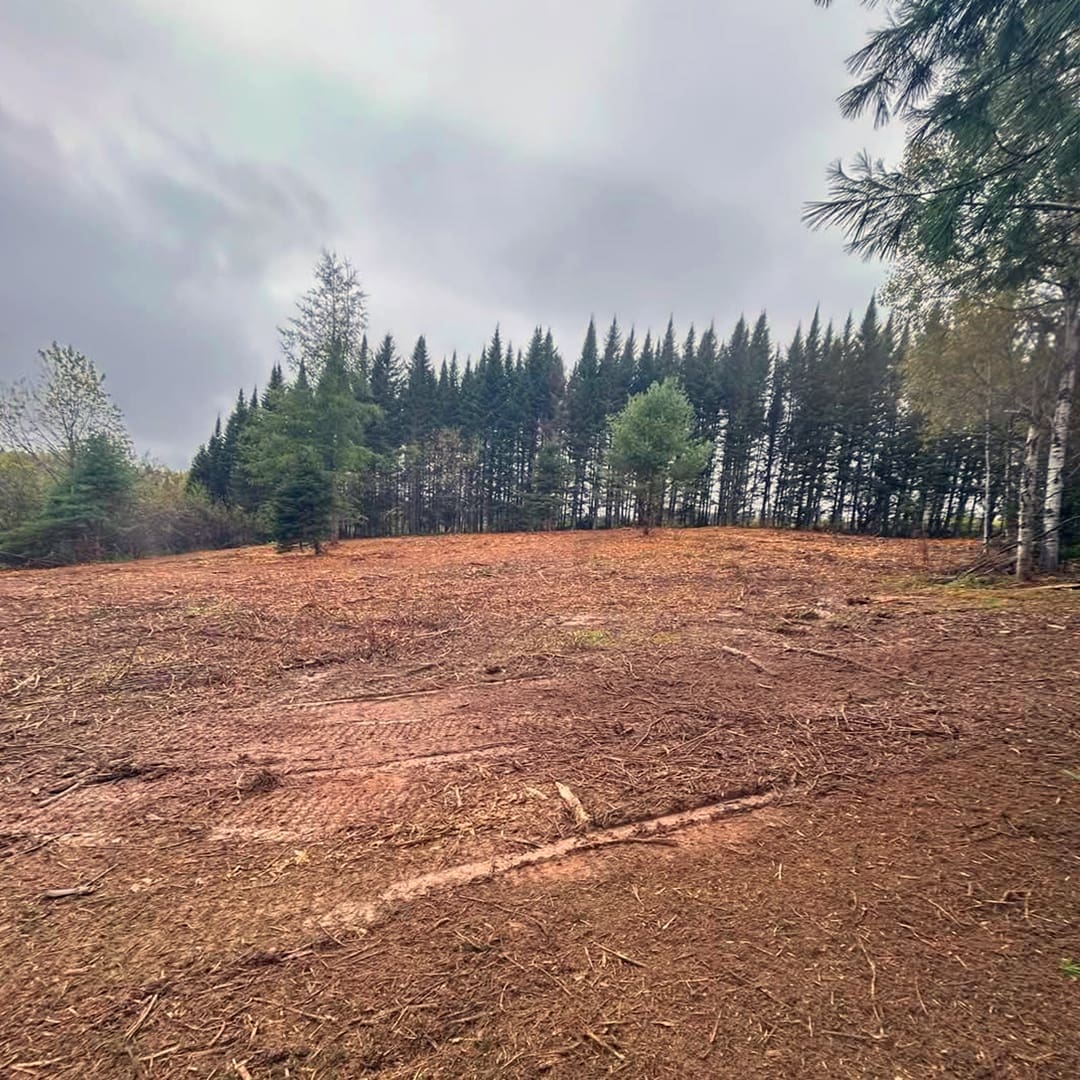 Lot Clearing